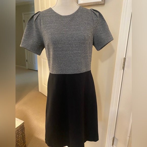 Loft Color Block Dress - Picture 6 of 6